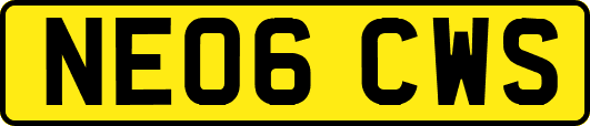 NE06CWS