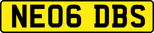 NE06DBS