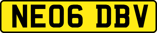 NE06DBV