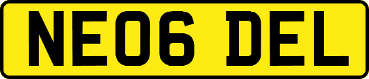 NE06DEL