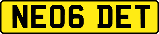 NE06DET
