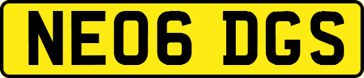 NE06DGS