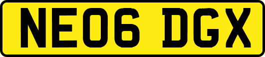 NE06DGX