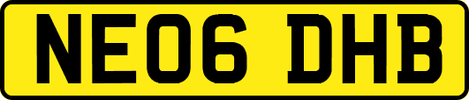 NE06DHB