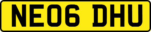 NE06DHU