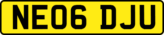 NE06DJU