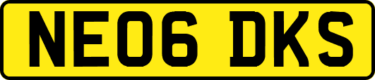 NE06DKS