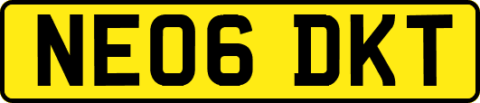 NE06DKT