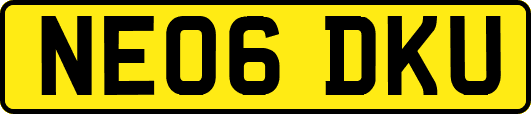 NE06DKU