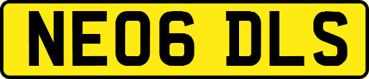 NE06DLS
