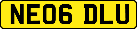 NE06DLU