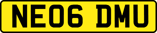 NE06DMU