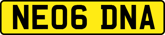 NE06DNA
