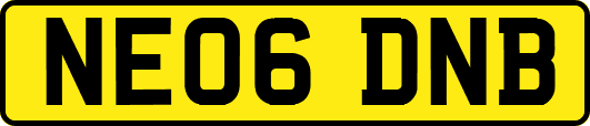 NE06DNB