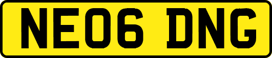 NE06DNG