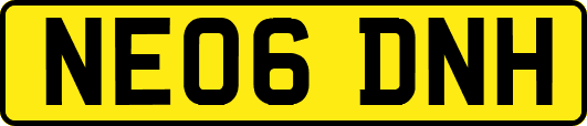 NE06DNH