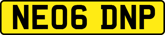 NE06DNP