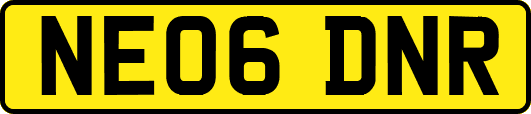 NE06DNR