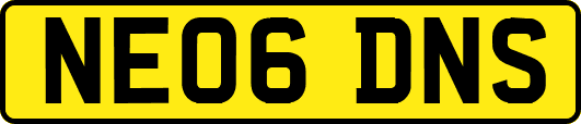 NE06DNS