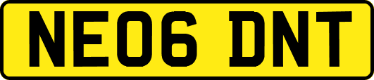 NE06DNT