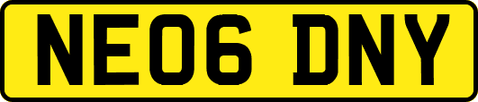 NE06DNY