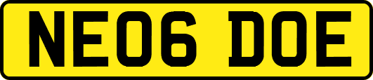 NE06DOE