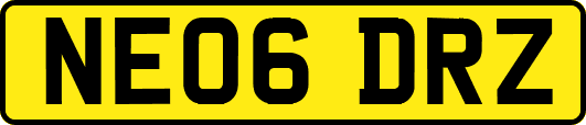 NE06DRZ