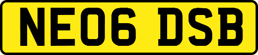 NE06DSB