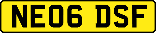 NE06DSF