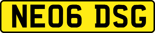 NE06DSG