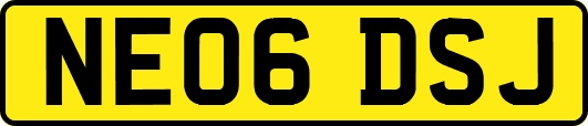 NE06DSJ