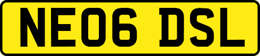 NE06DSL