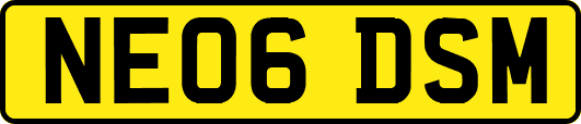 NE06DSM