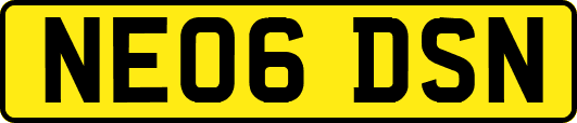 NE06DSN