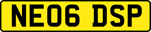 NE06DSP