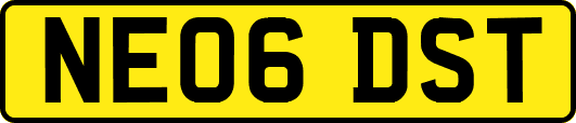 NE06DST