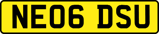 NE06DSU
