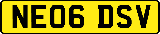 NE06DSV
