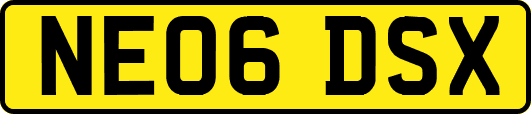 NE06DSX