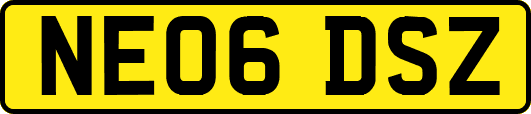 NE06DSZ