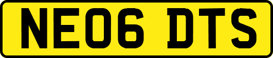 NE06DTS