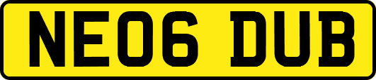 NE06DUB