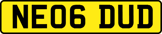 NE06DUD