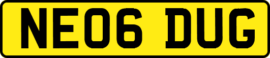 NE06DUG