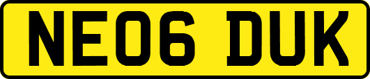 NE06DUK
