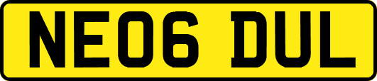 NE06DUL
