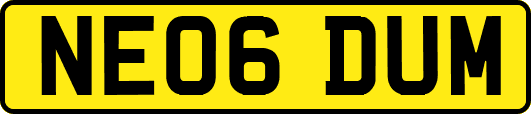 NE06DUM