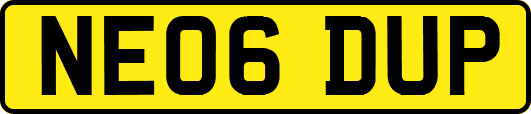 NE06DUP
