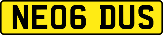 NE06DUS