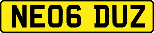 NE06DUZ